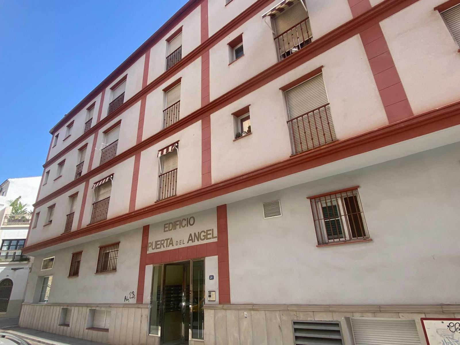 Maravilloso Apartamento Centrico De 70M2, Jardin Propio 40M2 Con Piscina Para Ninos Y Parking Opcional Malaga Ngoại thất bức ảnh