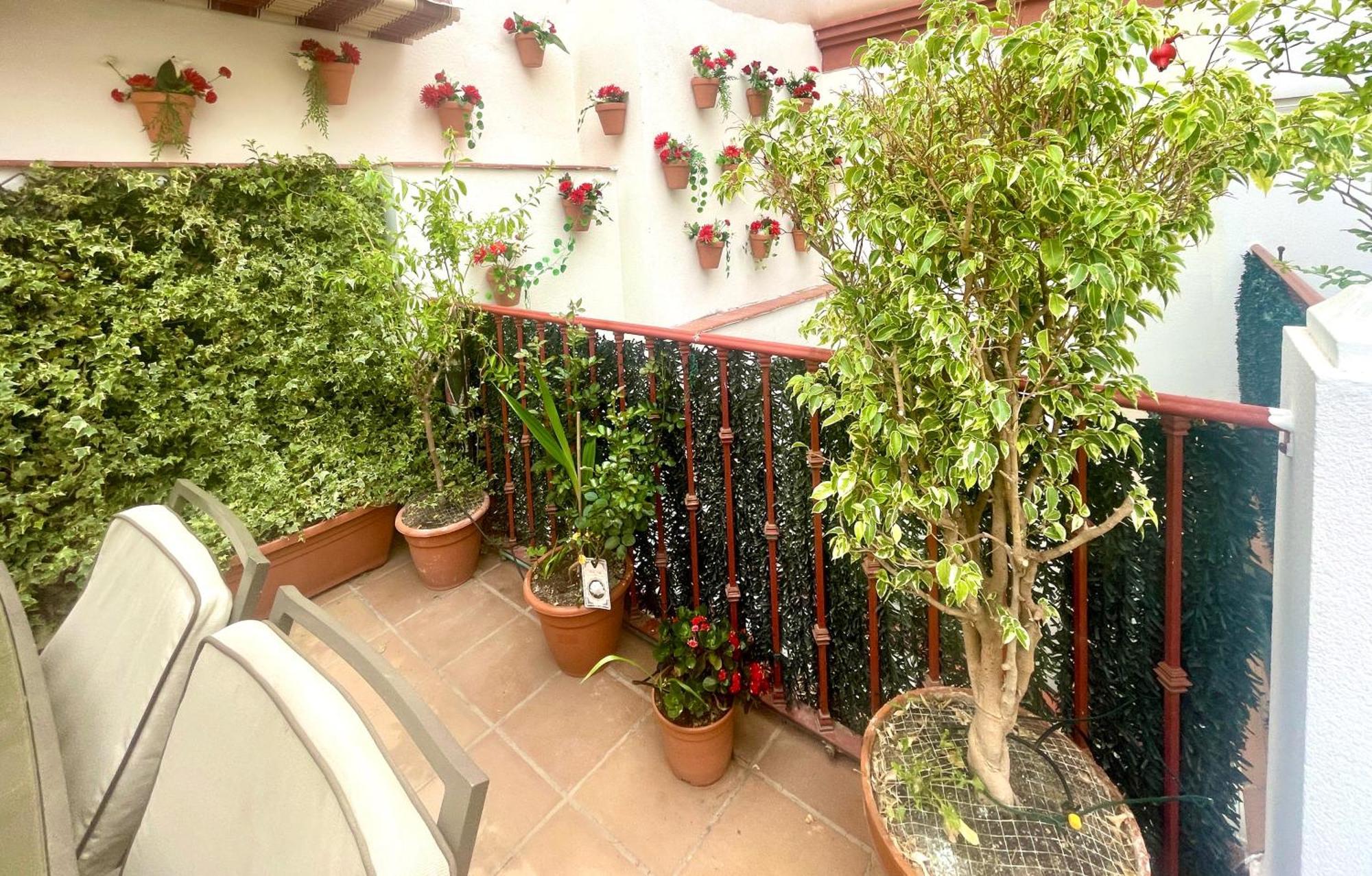 Maravilloso Apartamento Centrico De 70M2, Jardin Propio 40M2 Con Piscina Para Ninos Y Parking Opcional Malaga Ngoại thất bức ảnh