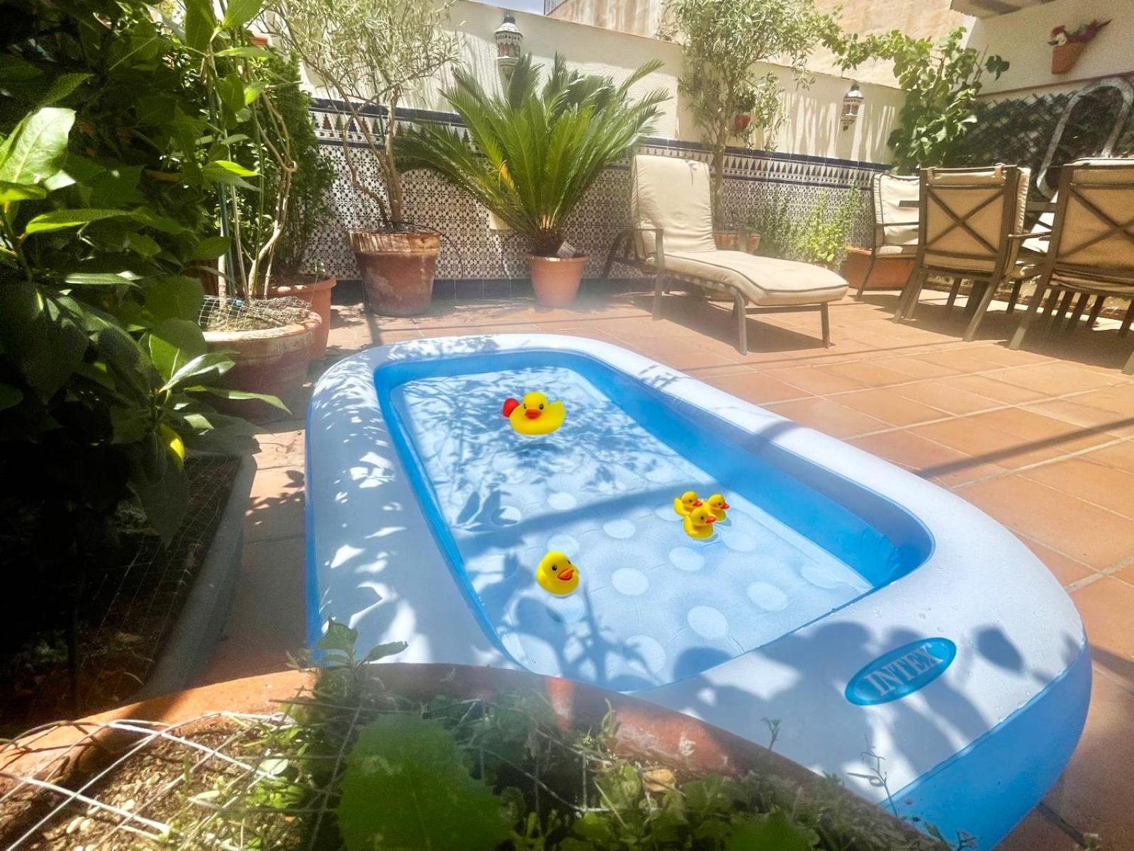 Maravilloso Apartamento Centrico De 70M2, Jardin Propio 40M2 Con Piscina Para Ninos Y Parking Opcional Malaga Ngoại thất bức ảnh