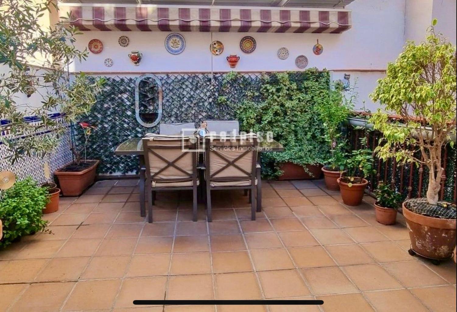Maravilloso Apartamento Centrico De 70M2, Jardin Propio 40M2 Con Piscina Para Ninos Y Parking Opcional Malaga Ngoại thất bức ảnh